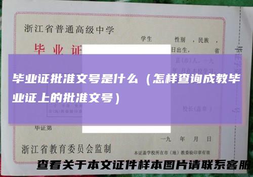 毕业证批准文号是什么（怎样查询成教毕业证上的批准文号）