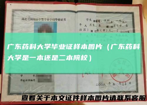 广东药科大学毕业证样本图片(广东药科大学是一本还是二本院校)