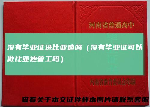 没有毕业证进比亚迪吗(没有毕业证可以做比亚迪普工吗)