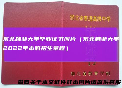 东北林业大学毕业证书图片（东北林业大学2022年本科招生章程）