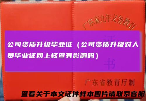 公司资质升级毕业证(公司资质升级对人员毕业证网上核查有影响吗)