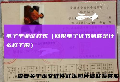 电子毕业证样式（网银电子证书到底是什么样子的）