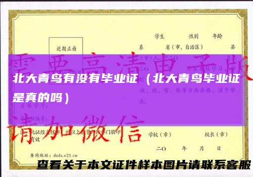 北大青鸟有没有毕业证(北大青鸟毕业证是真的吗)