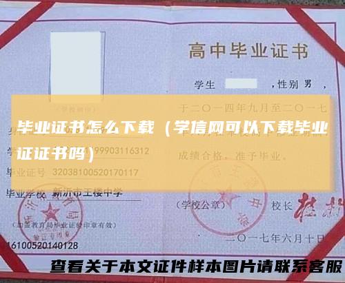 毕业证书怎么下载(学信网可以下载毕业证证书吗)