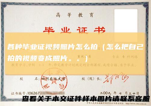 各种毕业证视频照片怎么拍(怎么把自己拍的视频变成照片。。)