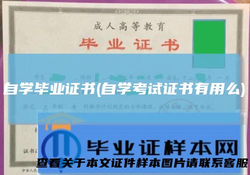 自学毕业证书(自学考试证书有用么)