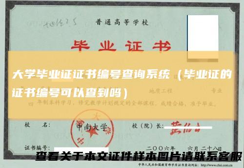 大学毕业证证书编号查询系统(毕业证的证书编号可以查到吗)