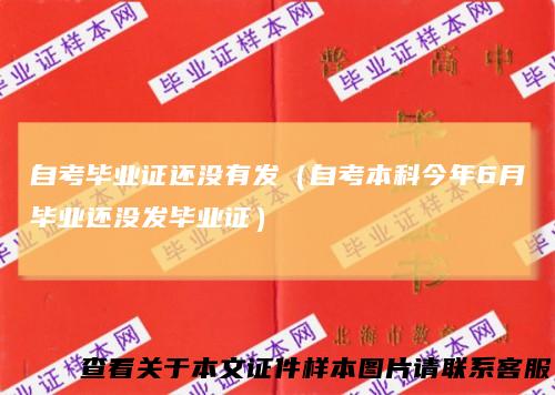自考毕业证还没有发(自考本科今年6月毕业还没发毕业证)