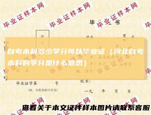 自考本科多少学分可以毕业证(河北自考本科的学分是什么意思)