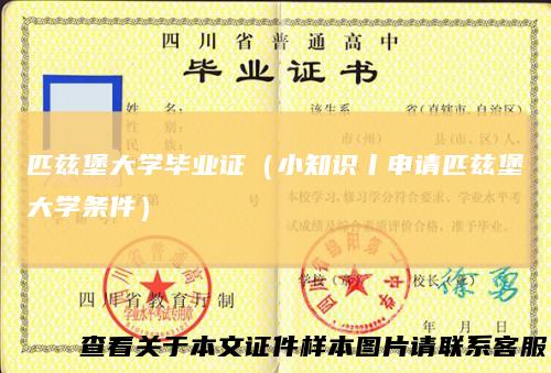 匹兹堡大学毕业证（小知识丨申请匹兹堡大学条件）