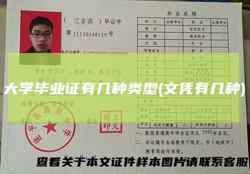 大学毕业证有几种类型(文凭有几种)