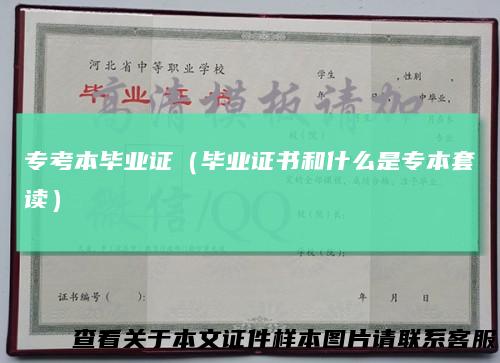 专考本毕业证(毕业证书和什么是专本套读)