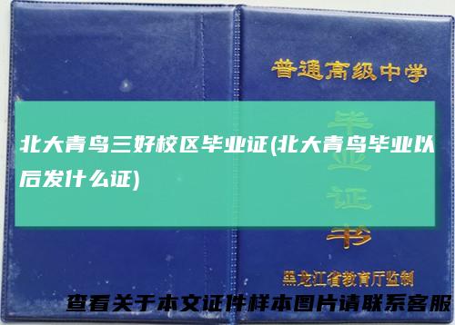 北大青鸟三好校区毕业证(北大青鸟毕业以后发什么证)