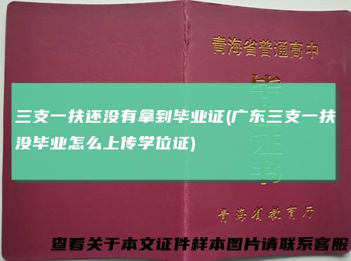 三支一扶还没有拿到毕业证(广东三支一扶没毕业怎么上传学位证)