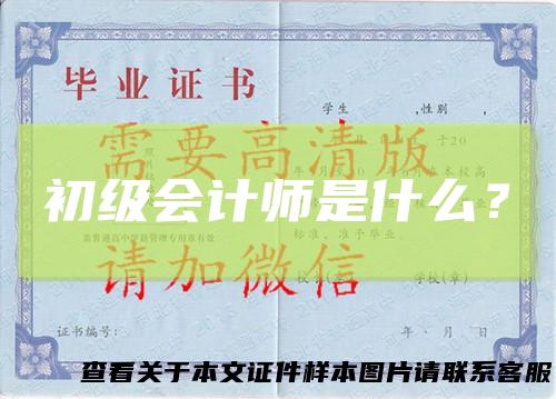 初级会计师是什么?