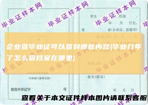 企业查毕业证可以查到哪些内容(毕业几年了怎么查档案在哪里)