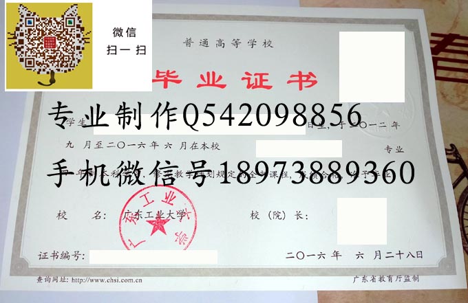 本科生拿专科毕业证(升本,一个专科生的自我救赎)