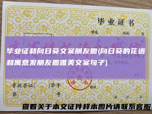毕业证和向日葵文案朋友圈(向日葵的花语和寓意发朋友圈唯美文案句子)
