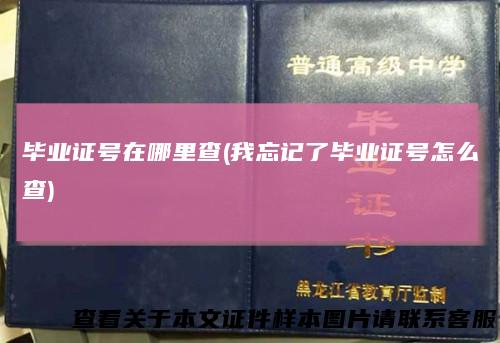 毕业证号在哪里查(我忘记了毕业证号怎么查)