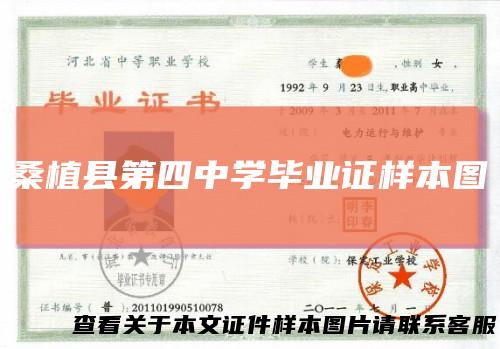 桑植县第四中学毕业证样本图