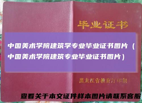 中国美术学院建筑学专业毕业证书图片（中国美术学院建筑专业毕业证书图片）