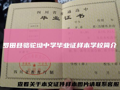 罗田县骆驼坳中学毕业证样本学校简介
