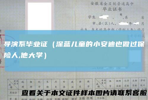 导演系毕业证(深蓝儿童的小安迪也做过保险人,他大学)