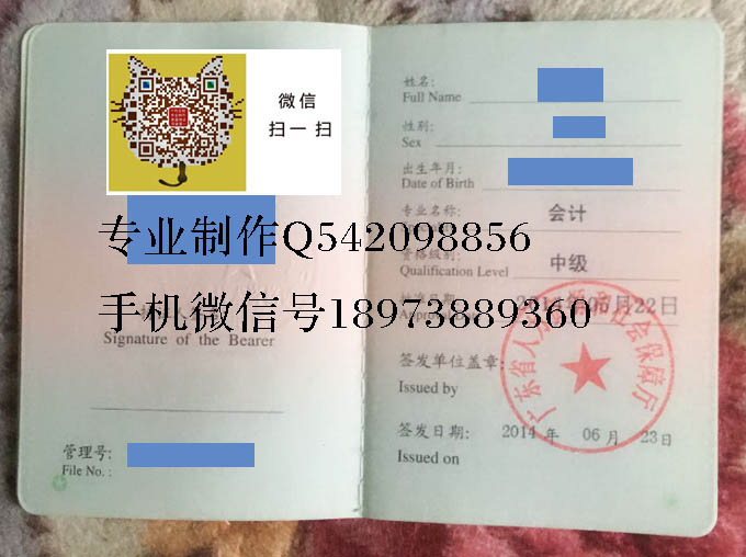 初级会计职称对学历有要求（初级会计学历审核严吗）