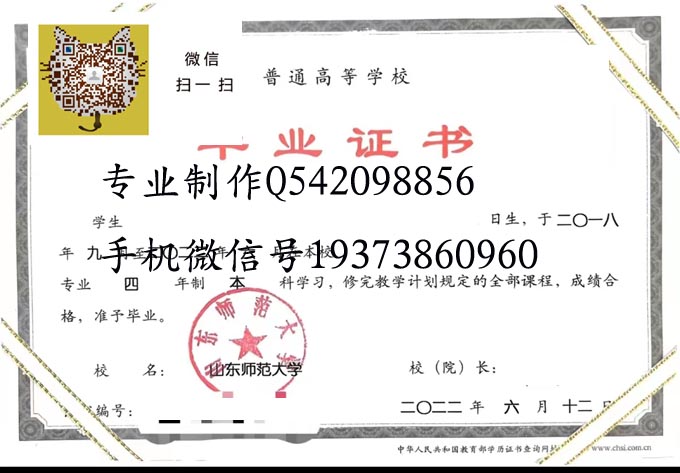 山东师范大学毕业证样本2023年成人图片