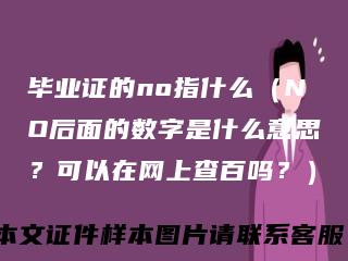 毕业证的no指什么(NO后面的数字是什么意思?可以在网上查百吗?)