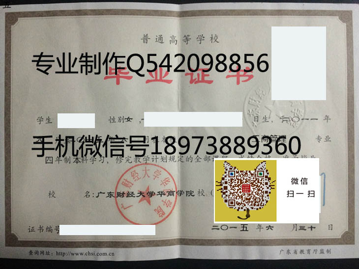 广东财经大学华商学院15年毕业证样本