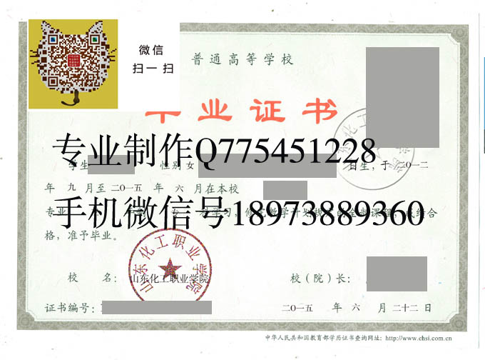 山东化工职业学院毕业证样本