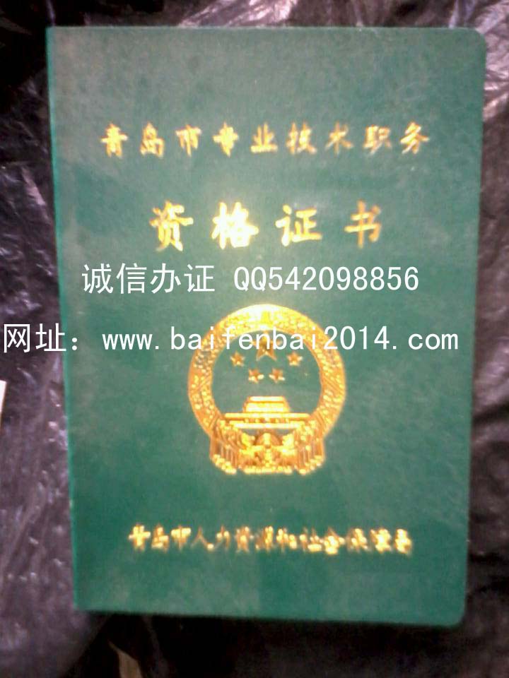青岛市专业技术资格证书样本