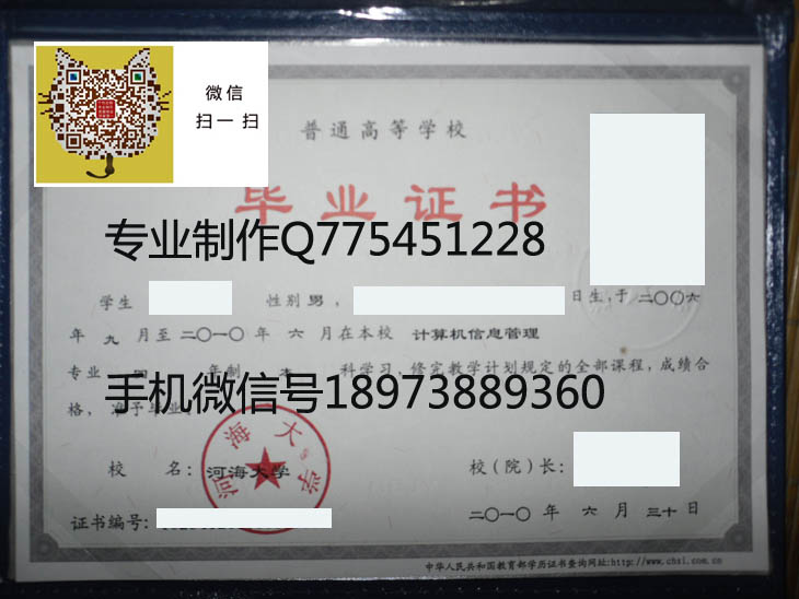 河海大学毕业证毕业证样本