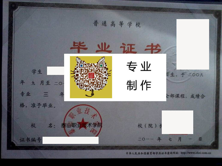 泰山职业技术学院毕业证样本