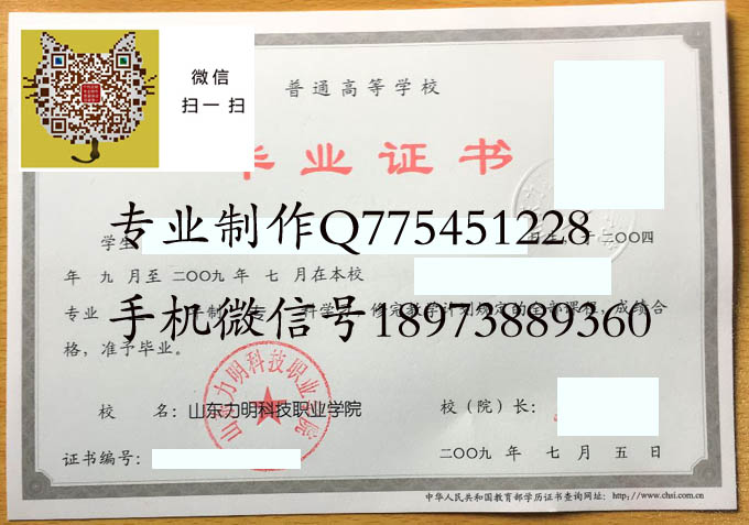 山东力明科技职业学院毕业证样本