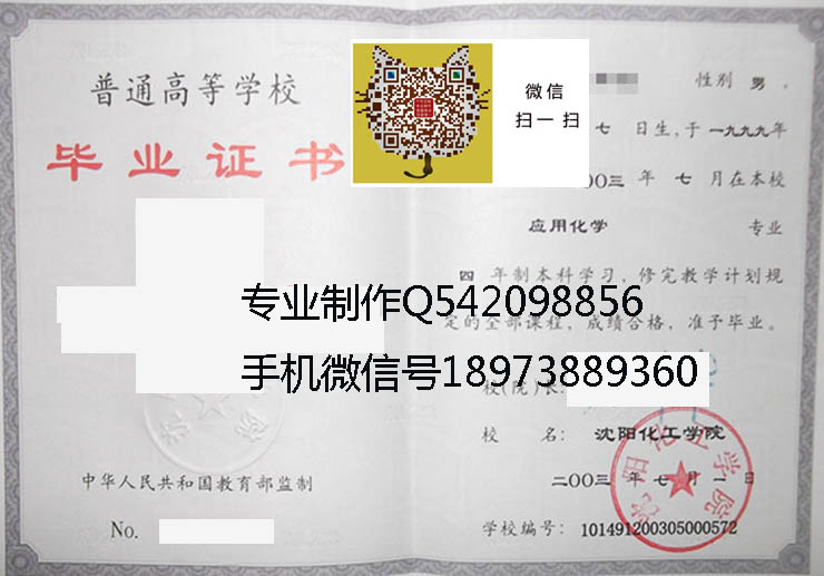 沈阳化工学院毕业证样本