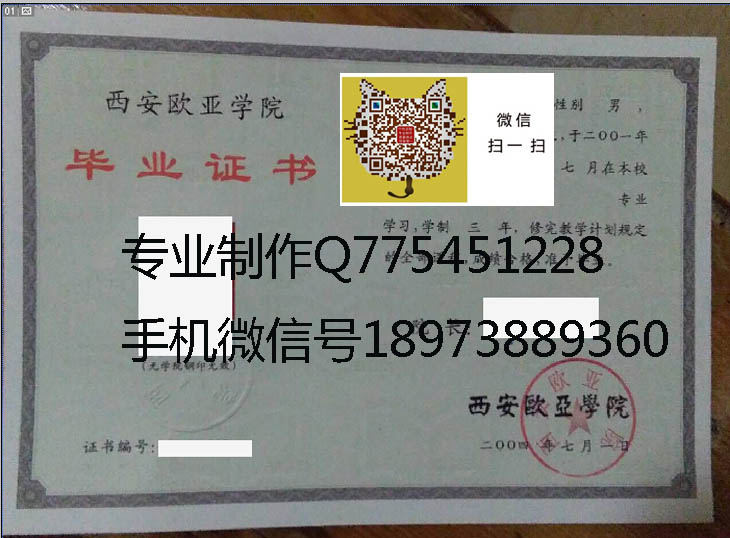 西安欧亚学院2004年毕业证样本图片
