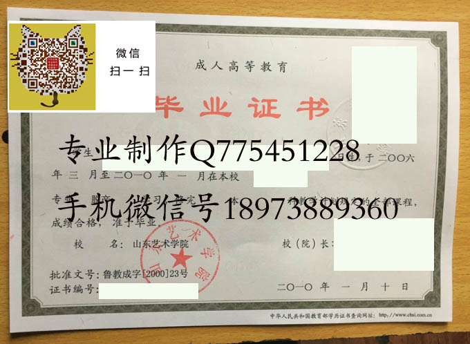 山东艺术学院成人2010 拷贝.jpg 山东艺术学院成人2010 拷贝.jpg