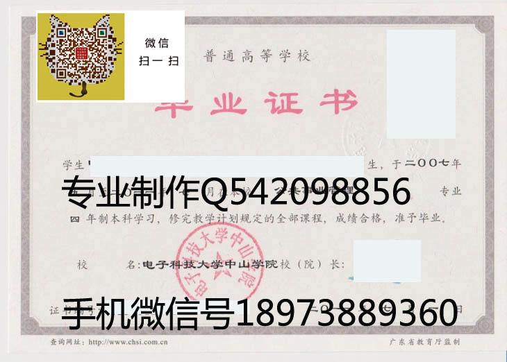 电子科技大学中山学院毕业证样本