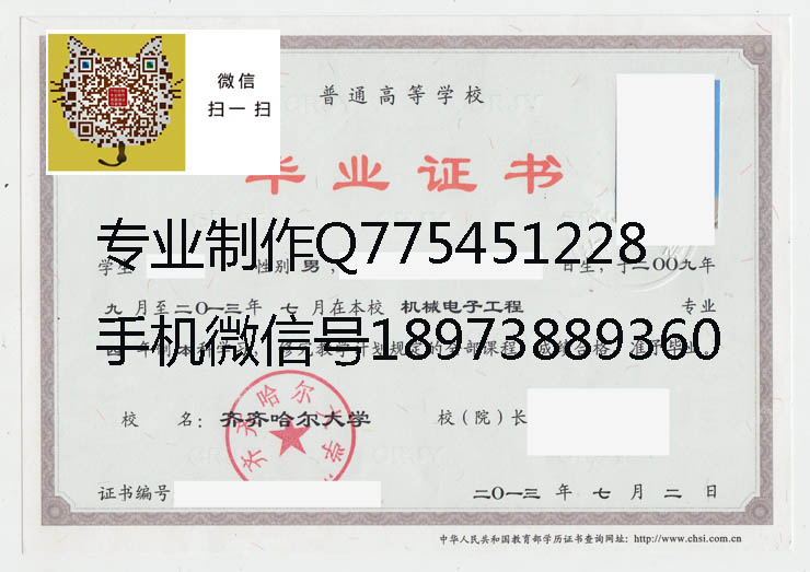 齐齐哈尔大学2013年毕业证样本
