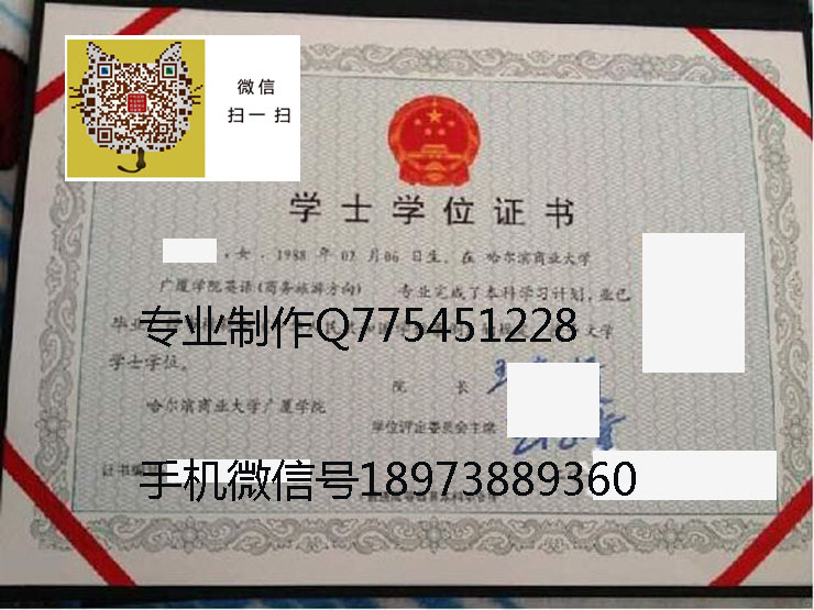 哈尔滨商业大学广厦学院2012年毕业证样本