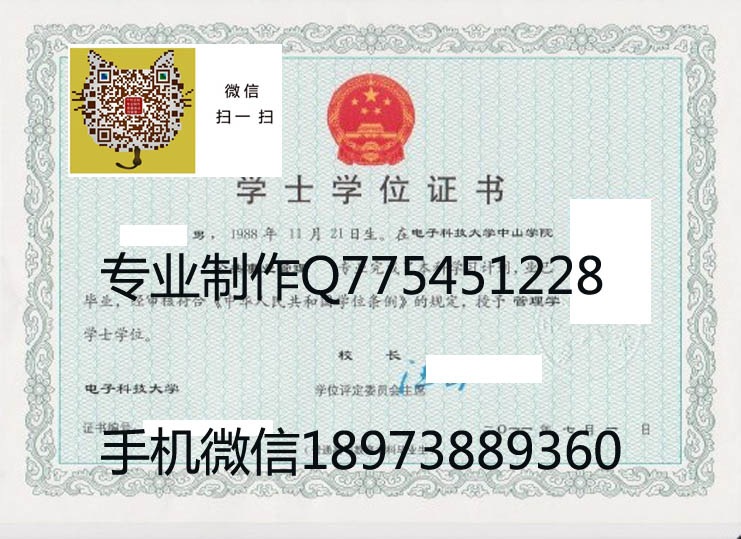电子科技大学2011年学位证样本图片