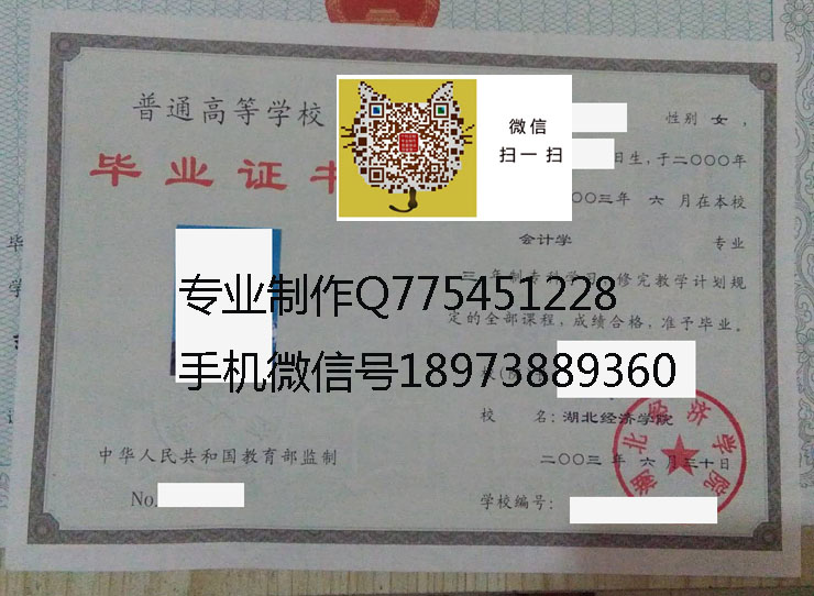 湖北经济学院2003 拷贝.jpg 湖北经济学院2003 拷贝.jpg
