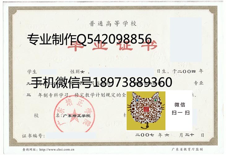 广东培正学院2007年毕业证样本