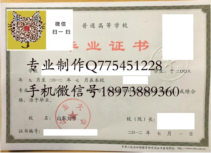山东大学毕业证样本