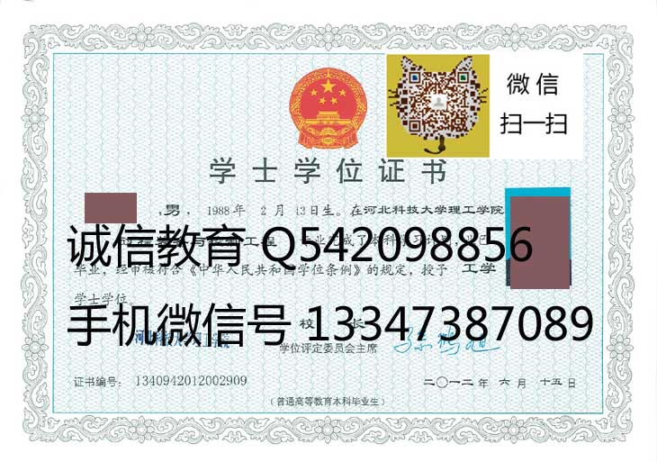 河北科技大学理工学院学位证样本
