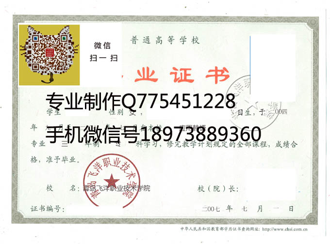 青岛飞洋职业技术学院毕业证样本