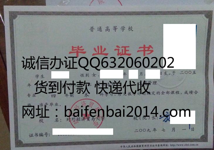 对外经济贸易大学2009年毕业证样本