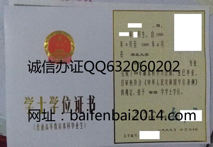 湖北大学学位证样本
